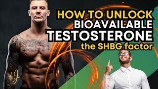 UNLOCK BIOAVAILABLE TESTOSTERONE: The SHBG Factor - A Comprehensive Guide!