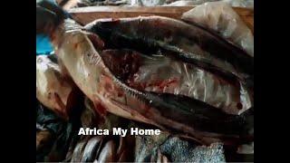 How to Cook Mudfish Delicacy in African Village