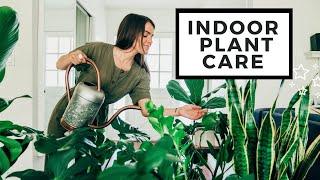 How To Care For Indoor Plants | Best House Plants