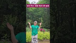 된다 박수 첼린지 21번째 허브 향기 그윽한 평창 허브나라농원 #1박2일 #워크샵 #도경tv #사랑은어떻게생겼쓸까 #김용빈 #화숙tv