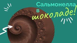 Что происходит в Израиле? | Сальмонелла в шоколаде