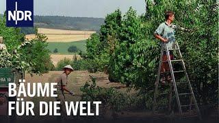 Bäume für die Welt - Die Baumschule von Ehren | Unsere Geschichte | NDR Doku