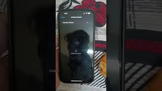 iOS 18.3.2: HUGE Fixes!  What's New? #shorts