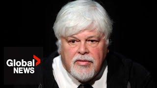 Paul Watson: Can the environmental activist get out of jail yet again?