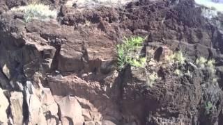 Drone footage: Petroglyphs Maui Hawaii 2015 DJI Phantom 1