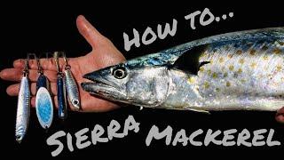 How to Catch Sierra Mackerel...TACKLE TIPS