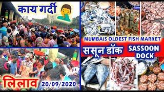 Sassoon Dock Colaba | Mumbai's Biggest & Oldest Fish Market | ससून डॉक  | Fish Auction | Unlock 4 |