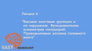 Общая неврология. Лекция 6 "Высшие мозговые функции и их нарушения"