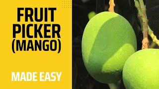 How to Make A Fruit Picker (Mango picker). Simple and Easy to use in your Garden @calabash-green