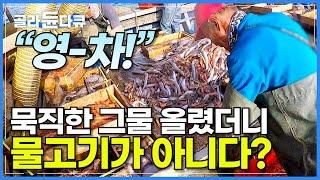 "어쩐지 이상하게 묵직하더라니" 계속되는 헛그물질에도 포기할 수 없는 투망과 양망!│예측할 수 없는 깊은 바다! 만선을 꿈꾸다│저인망 가자미 잡이│해양 쓰레기│극한직업│#골라듄다큐