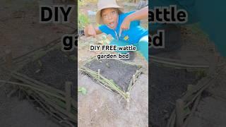DIY FREE wattle garden bed. #foryou #shorts #garden #gardening #nature