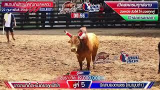 ขาวงามทีเด็ดหนึ่งเดียว (ลูกฟ้าใส) VS นิลงามยอดเพชร (แมงมุมดำ)
