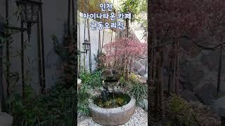관동오리진 - 인천 중구 차이나타운 근처 개항로에 위치한 일본식 적산가옥 카페~안쪽에 있는 작은 정원이 멋지다
