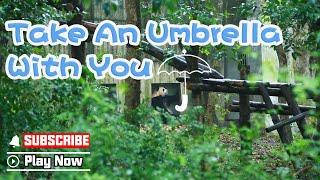 【Panda Troupe】A Reminder From Pandas: Remember To Bring An Umbrella In Case It Rains  | iPanda