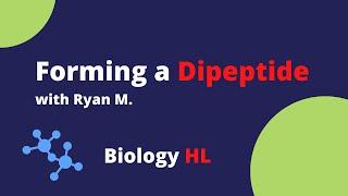 Forming a Dipeptide with Ryan M - Biology  HL