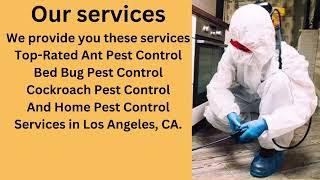 All Day Pest Control