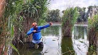 В Цих СНОПАХ повно КРУПНИХ мордатих риб, Рибалка на боковий кивок