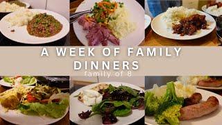 WEEK 71| FAMILY DINNERS OF THE WEEK | family of eight, evening meal ideas, meal plan