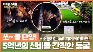 [네모세모] 쏘~ 쿨 단양! 5억년의 석회암 동굴과 폐교의 변신! 미디어 파크