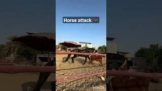 Horse attack  #travelwithnoman08 #horse #horseriding #horselover