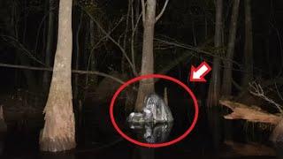 Sie hat diesen Müllbeutel im Wald gefunden und dann... | Der ganze Fall vor Gericht!