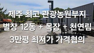 조천읍 교래리  제주 최고 관광농원부지별장 12동 + 목장 + 천연림3만평 가격협의 010 4436 0401 제주도부동산 토지 매매  급매물