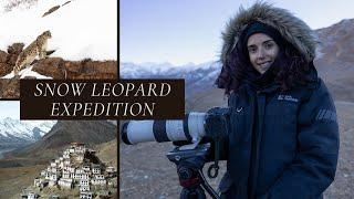 Ghosts of the Mountain: Snow Leopard Expedition in Kibber, India