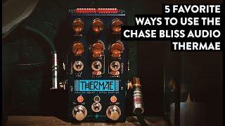 Chase Bliss Audio Thermae Analog Delay/Pitch Shifter Demo