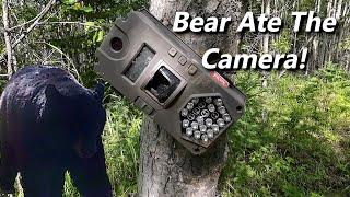 Trail Cam Destroyed by Bear! Let's Get Hunting!