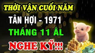 Tử Vi Tháng 11 ÂL Tuổi Tân Hợi 1971: Cát Hung Song Hành, Nghe kỹ đón lành tránh dữ