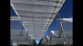 Low-Cost Retractable Roof Production System for Tropical Climates