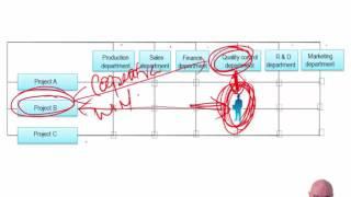 ACCA P5 Business Structure, Management Accounting and Change