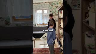 Рэм Чемп: типичный боксер дома