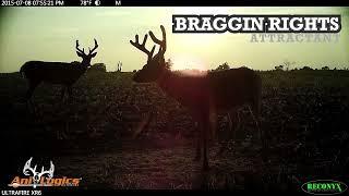 Ani-Logics Outdoors Braggin Rights Granular Deer Attractant