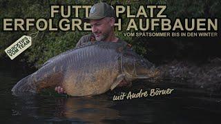 Futterplatz erfolgreich aufbauen - Vom Spätsommer bis in den Winter