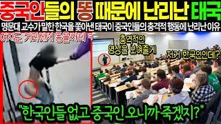 "중국인들의 똥 때문에 난리난 태국" 명문대 교수가 말한 한국을 쫓아낸 태국이 중국인들의 충격적 행동에 난리난 이유 [해외감동사연]