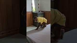 So unexpected!What does Kuku look for?