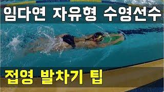 SHC 수영 강습_임다연 코치님 접영발차기 팁