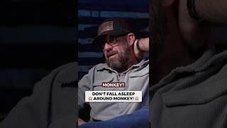 Mid-Flight Monkey Madness: When Ambien Meets Chaos