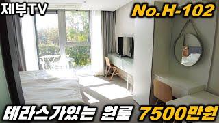 제주도 세컨하우스 매매 H-102 어떻게 더 가성비 좋은걸 찾아요? 제주도 부동산 매물,Jeju House for sale,Korea,제주도부동산TV