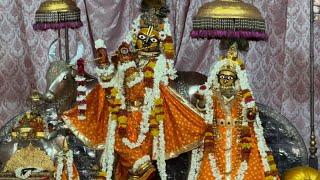 Shri Govind Dev Ji ki Gwal Jhanki श्री गोविन्द देव जी की ग्वाल आरती #00_June_2025 #wednesday #love