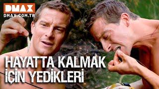 Bear Grylls'in Yediği İlginç Şeyler | Bear Grylls ile Cehennemden Kaçış