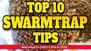 Top 10 Tips for Catching Honeybees Swarms #swarmtrap