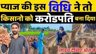 प्याज खेती की इस विधि ने बनाया किसानों को करोडपति  आप भी देख लीजिए | Pyaj Ki Kheti | Onion Farming