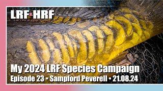 Episode 23: My 2024 LRF Species Hunt - Sampford Peverell Ponds