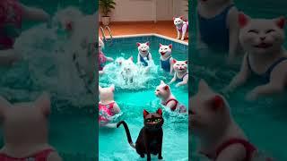 "The Outcast Hero: The Black Cat Who Saved the White Cat!"#ai #animals #cat #rescue