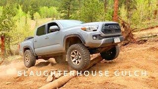 Slaughterhouse Gulch Trail / Colorado - Testing The Tacoma Offroad Finally