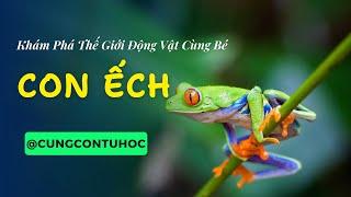 Khám Phá Thế Giới Động Vật Cùng Bé: Nhận Biết Con Ếch | Học Tiếng Việt