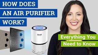 How Does an Air Purifier Work? (Do Air Cleaners Really Work to Remove Dust, Mold and Allergens?)