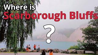 Where is Scarborough Bluffs?